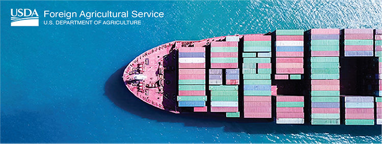 Image of a container ship sailing across the seas